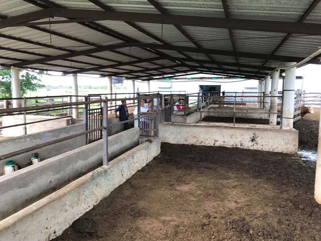Rancho en Tixkokob, Tixkokob, foto 7 de 46