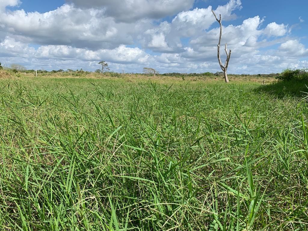 Rancho en Tixkokob, Tixkokob, foto 10 de 46