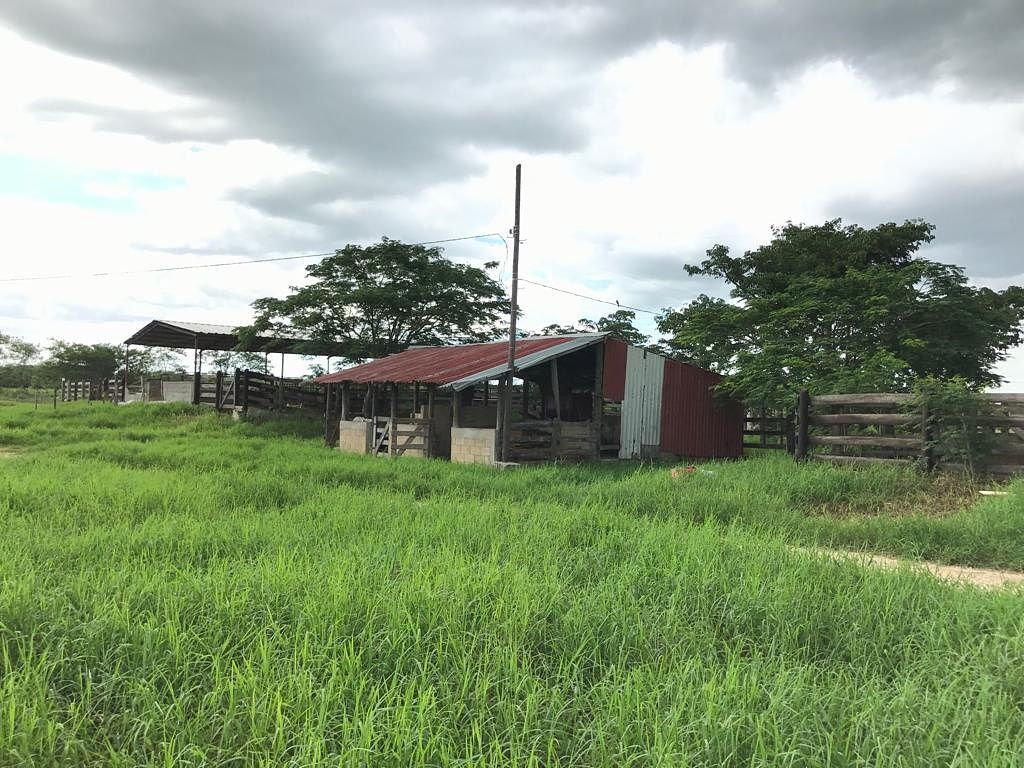 Rancho en Tixkokob, Tixkokob, foto 12 de 46