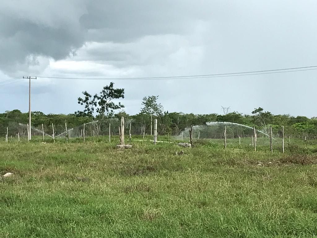 Rancho en Tixkokob, Tixkokob, foto 25 de 46