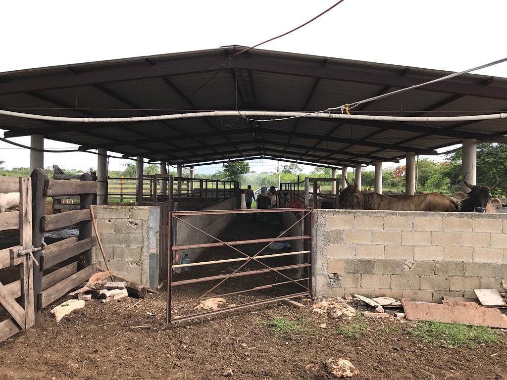 Rancho en Tixkokob, Tixkokob, foto 26 de 46