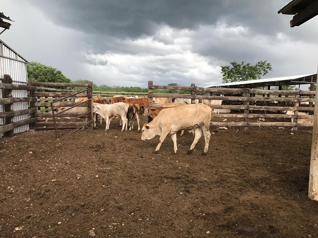Rancho en Tixkokob, Tixkokob, foto 30 de 46