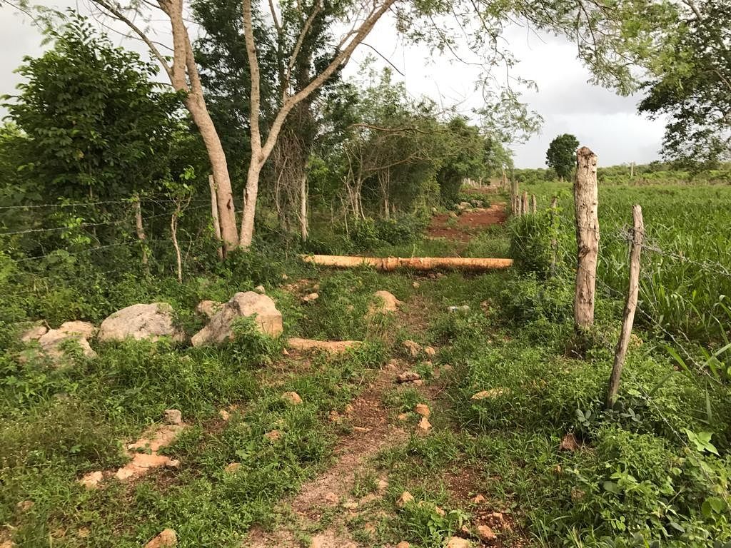 Rancho en Tixkokob, Tixkokob, foto 33 de 46