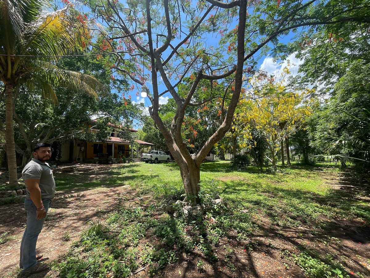 Rancho en Tixkokob, Tixkokob, foto 36 de 46