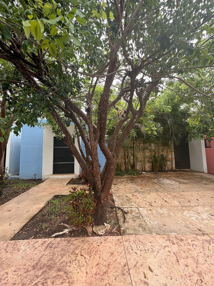 Casa en Cholul, Mérida, foto 11 de 36