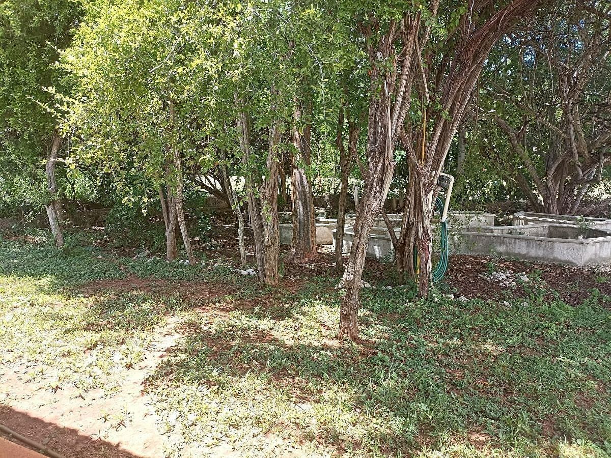 Casa em condomínio fechado em Club de Golf La Ceiba, Mérida, foto 20 de 23