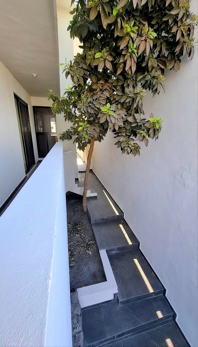 Casa em Las Brisas, Monterrey, foto 4 de 10
