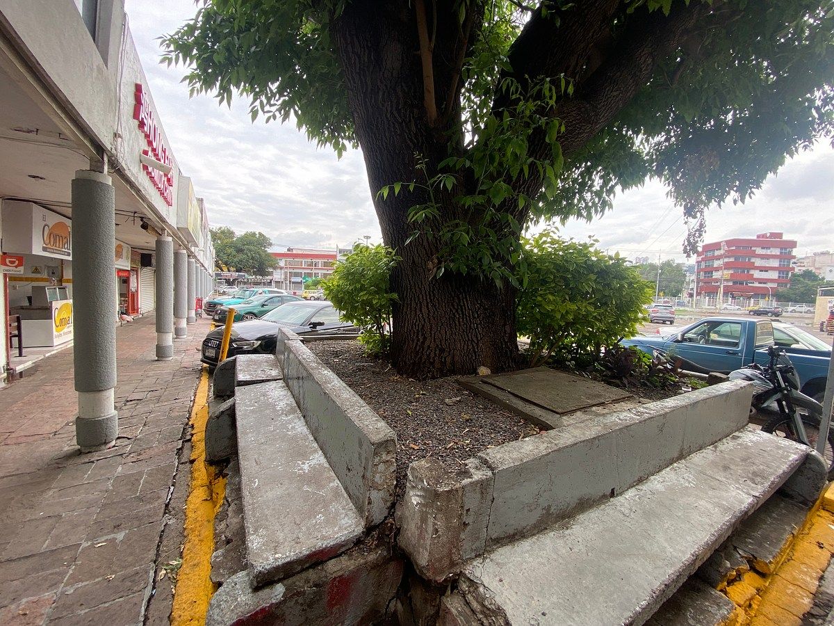 Retail Space in Carretas, Querétaro, photo 3 of 19
