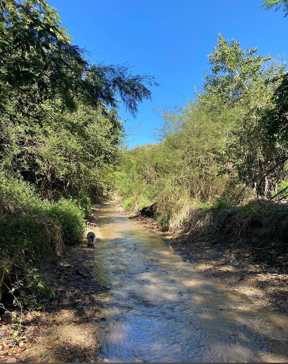 Lote em Sayulita, Bahía de Banderas, foto 6 de 9