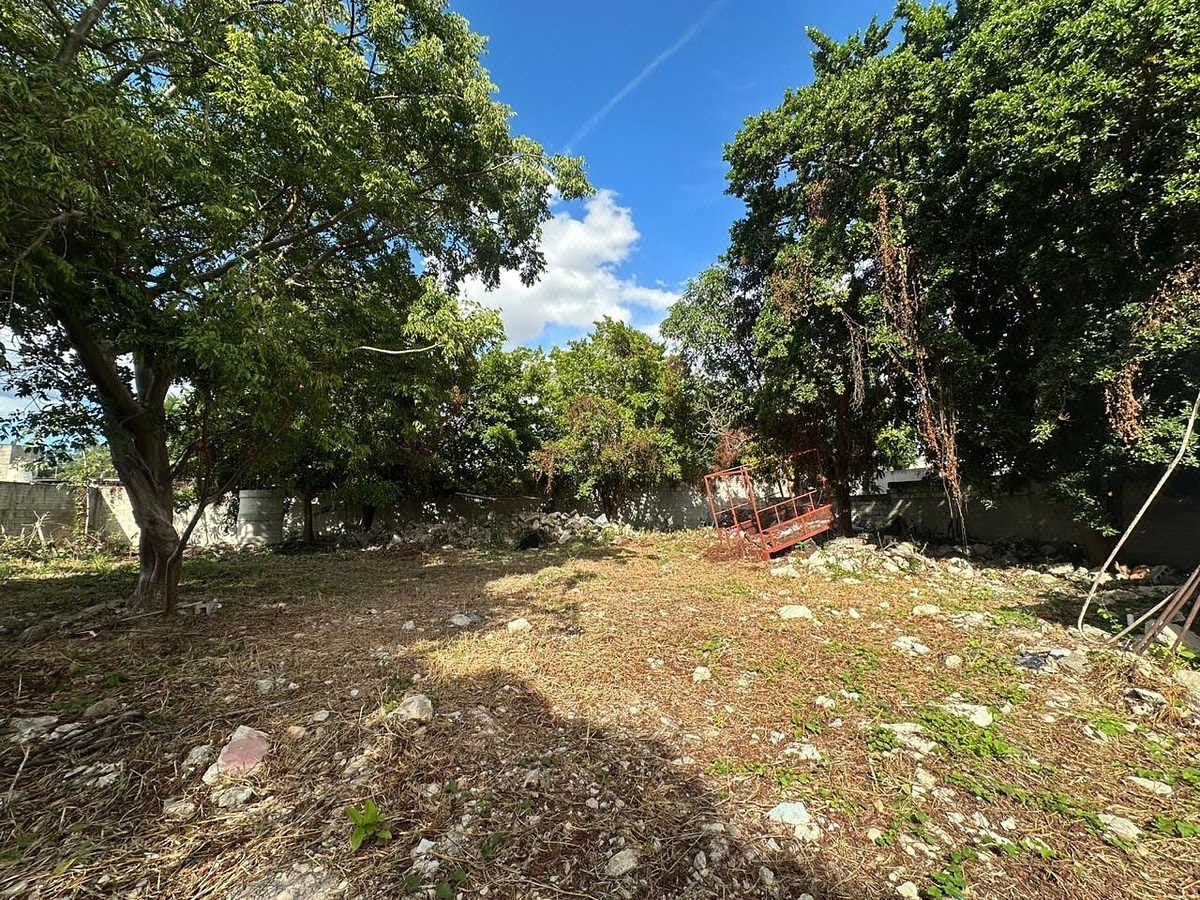 Lot in San Damián, Mérida, photo 2 of 6