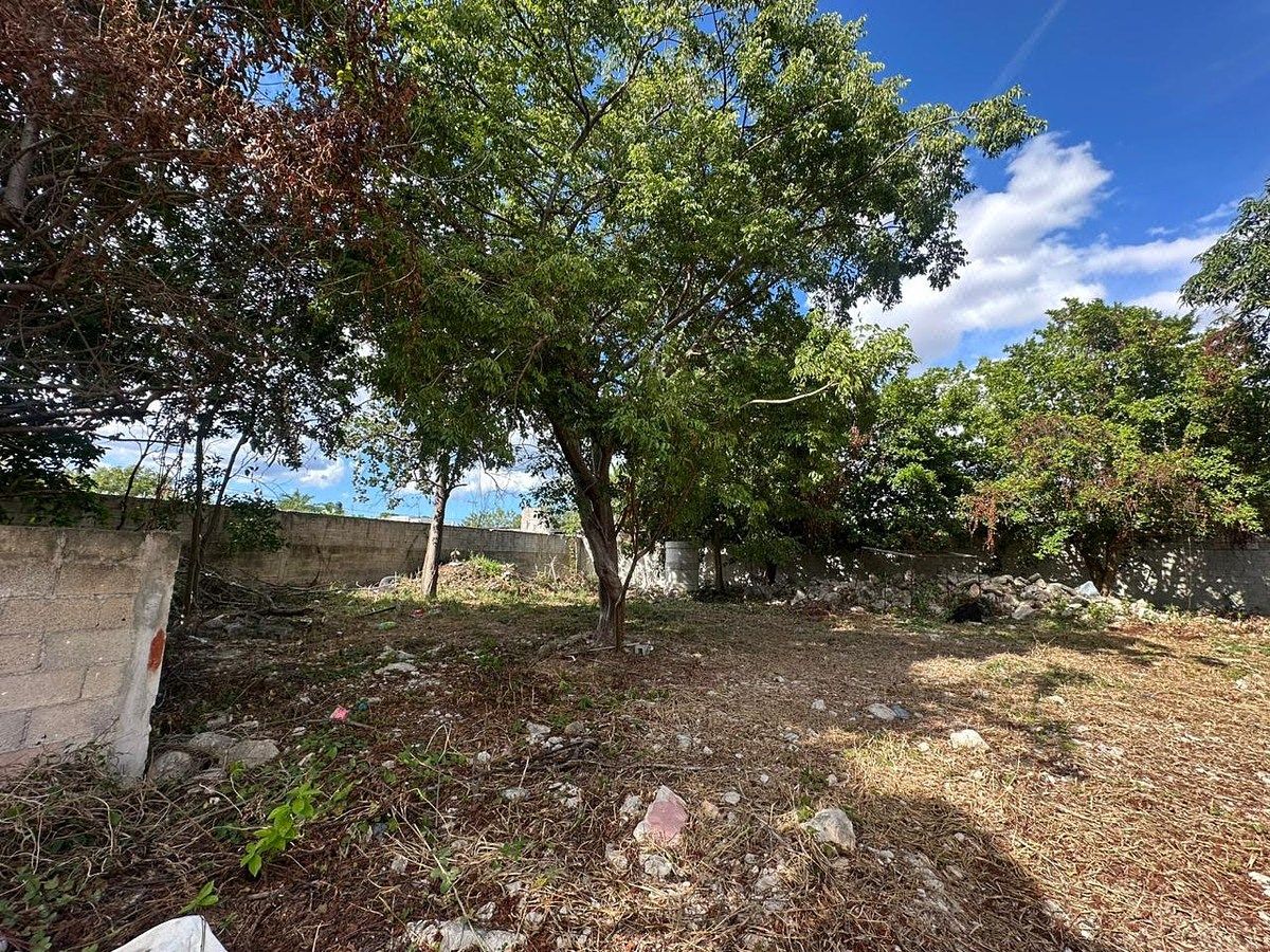 Lot in San Damián, Mérida, photo 4 of 6