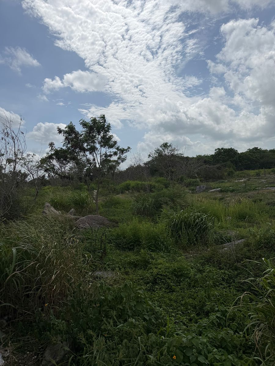 Commercial Lot in Vicente Guerrero, Champotón, photo 2 of 13