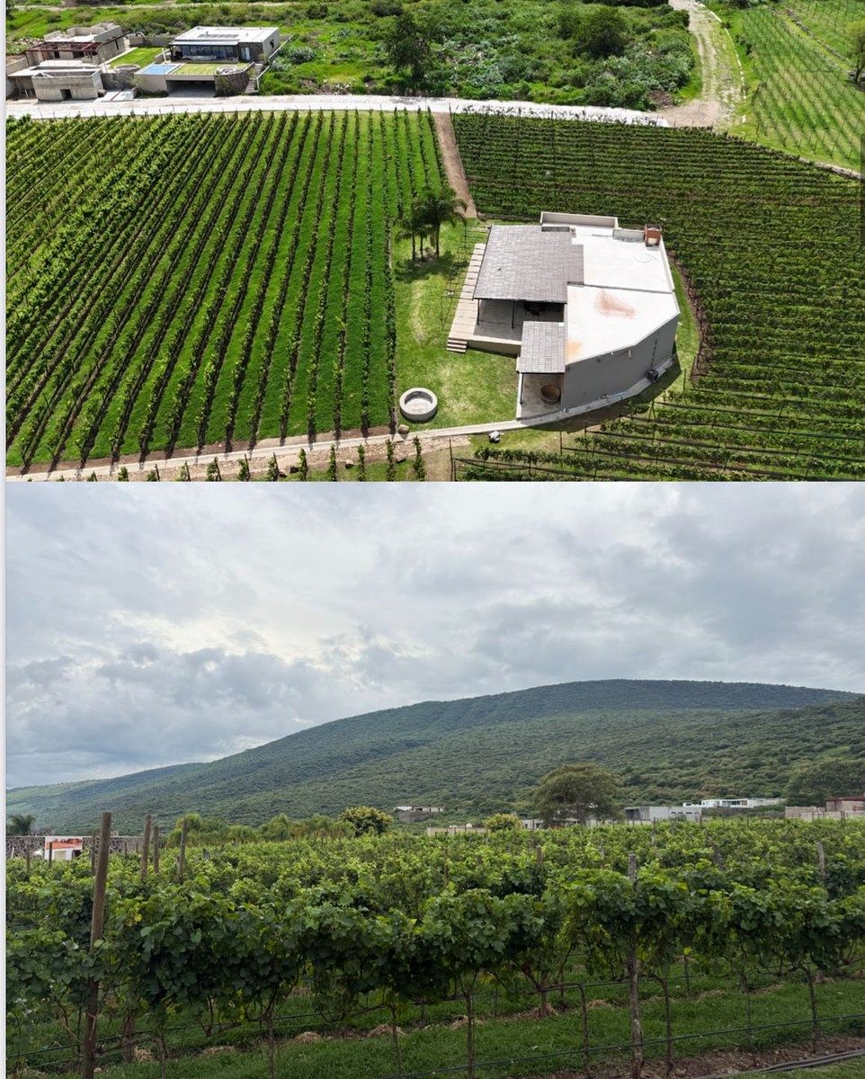 Terreno en Venta en Fraccionamiento Azul del Lago, Jocotepec - foto 2