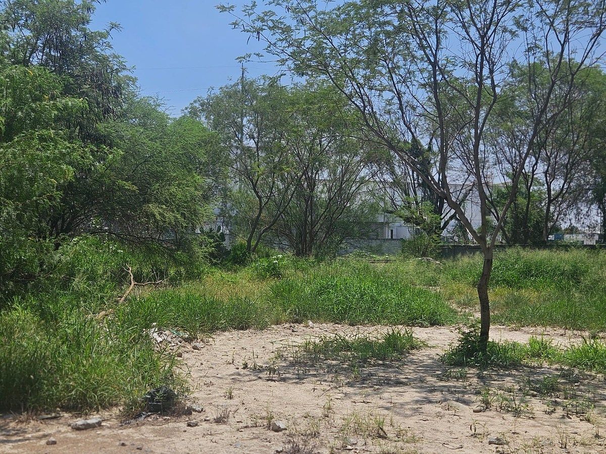 Lote em Agropecuaria, General Escobedo, foto 4 de 5