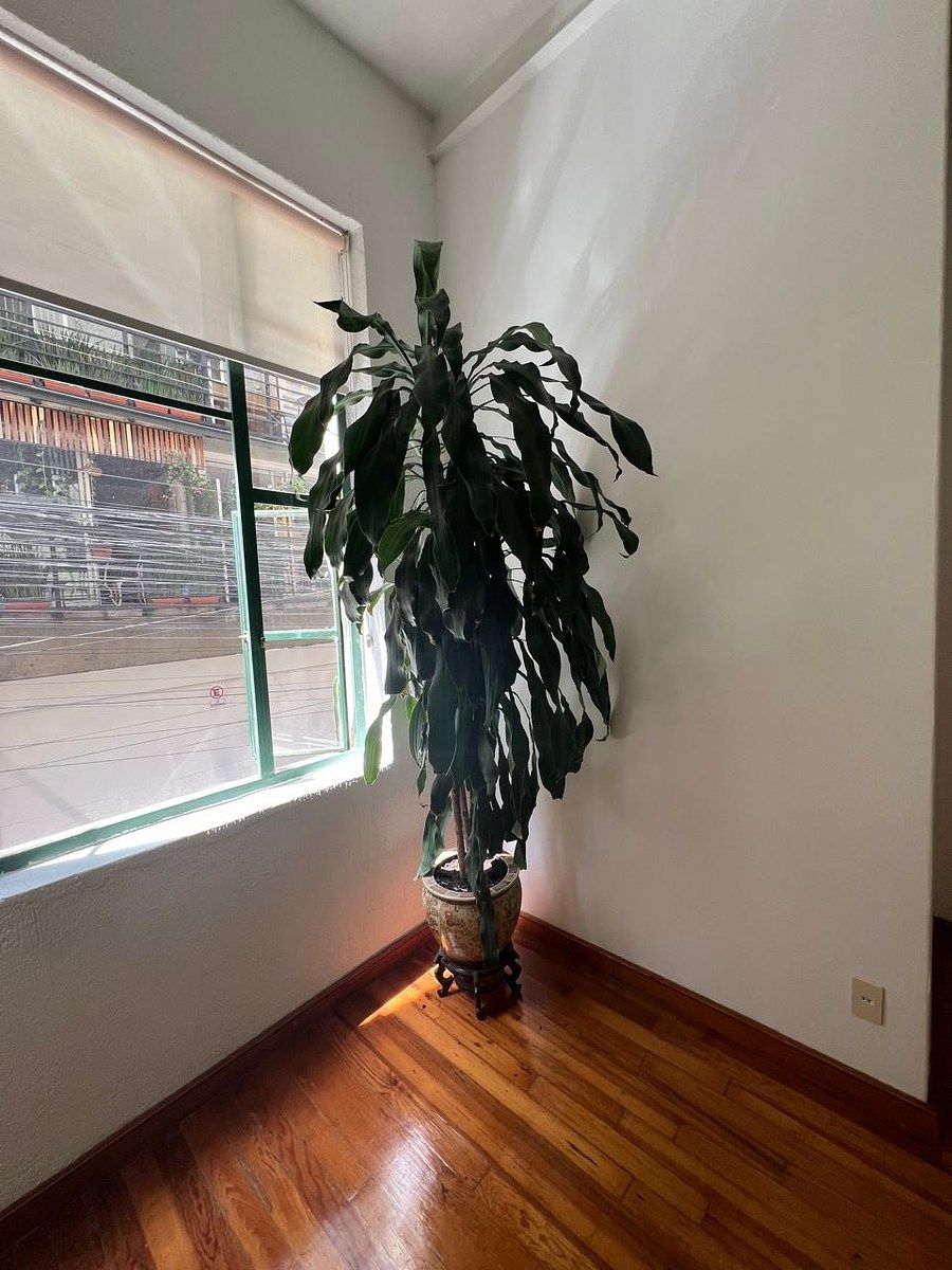 Apartamento em Roma Norte, Cuauhtémoc, foto 22 de 24