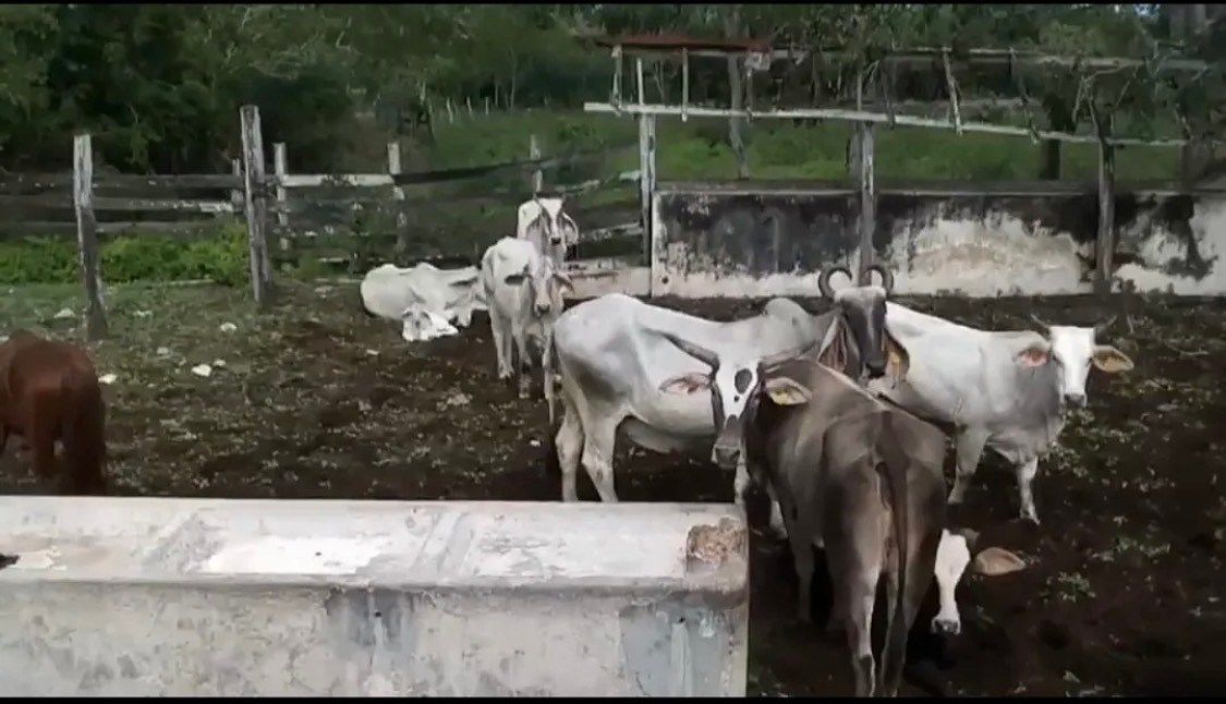 Rancho en Yalsihon, Panabá, foto 4 de 9
