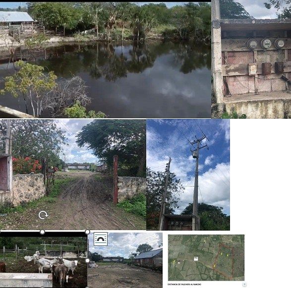Fazenda em Yalsihon, Panabá, foto 11 de 13