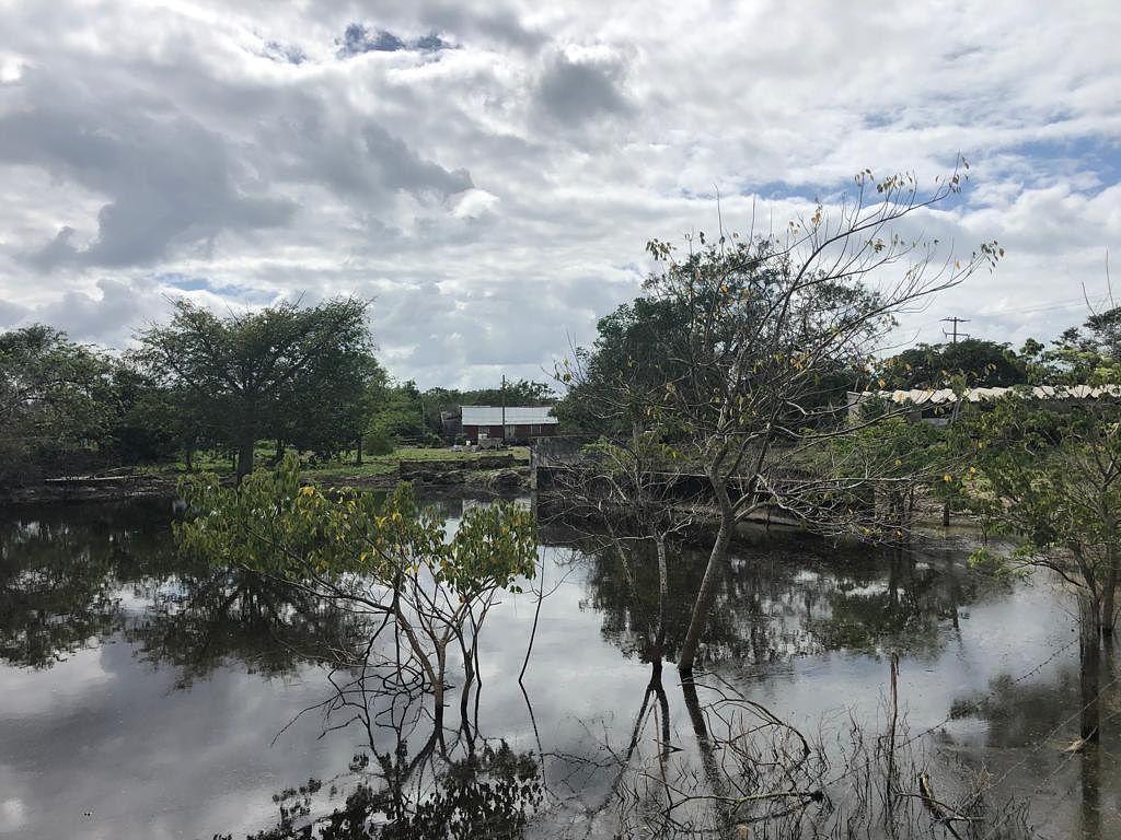Rancho Ganadero en Venta · 470 Ha · 2 Km de Frente a Carretera · YALSHION-PANABA, foto 1 de 21