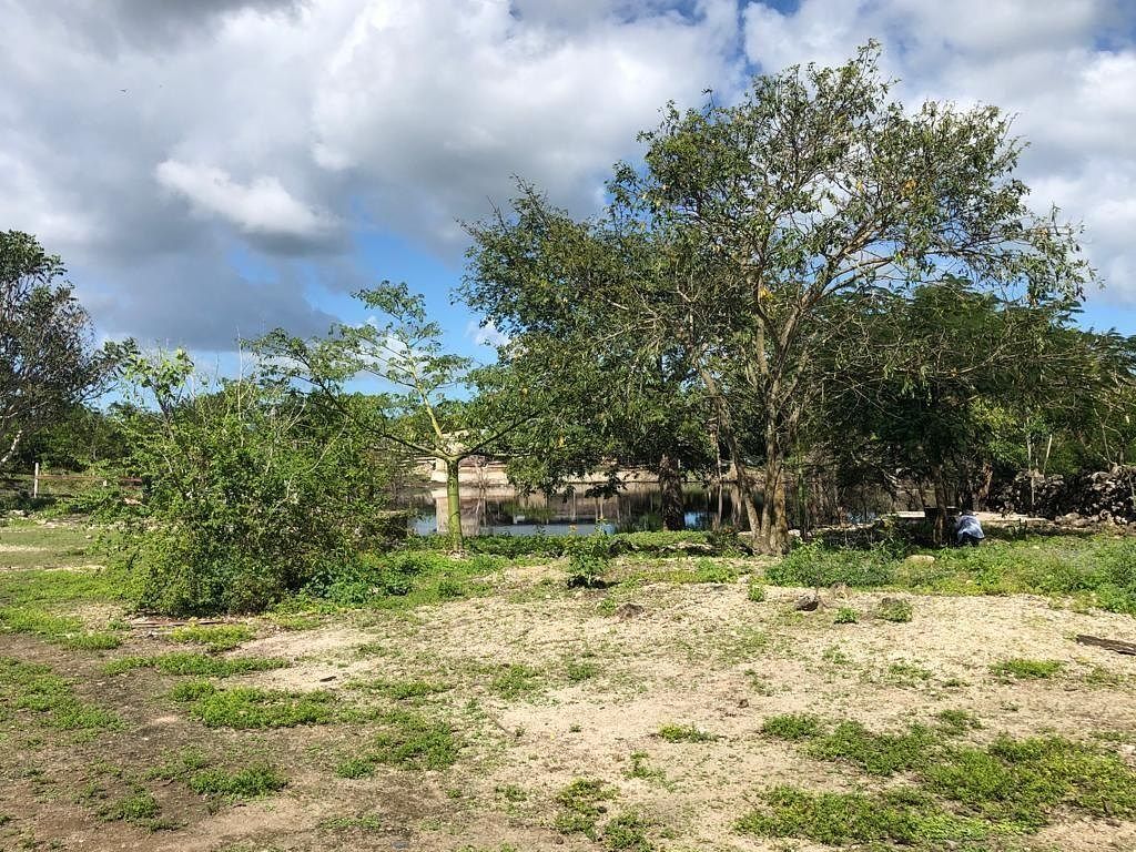 Rancho en Yalsihon, Panabá, foto 18 de 21