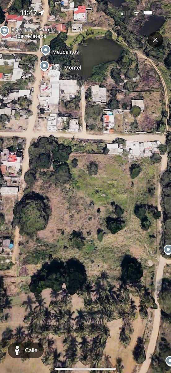 Terreno en venta en Mezcales, Bahía de Banderas, Nayarit - foto 4