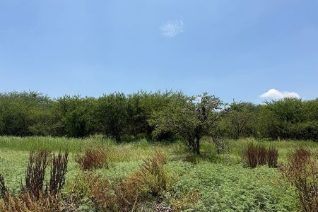 TERRENO RURAL À VENDA NA REPRESA ALLENDE