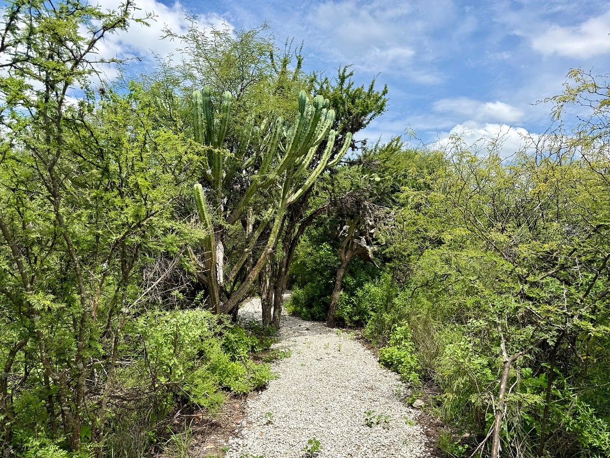 Lot in Don Juan Xido de Abajo (Cabras de Begoña), San Miguel de Allende, photo 4 of 14