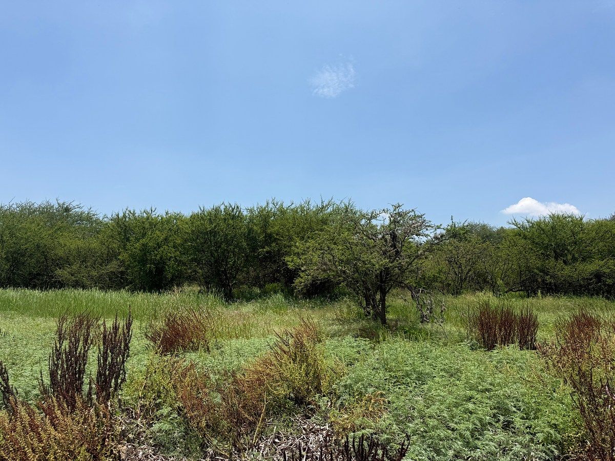 Lot in Don Juan Xido de Abajo (Cabras de Begoña), San Miguel de Allende, photo 5 of 14