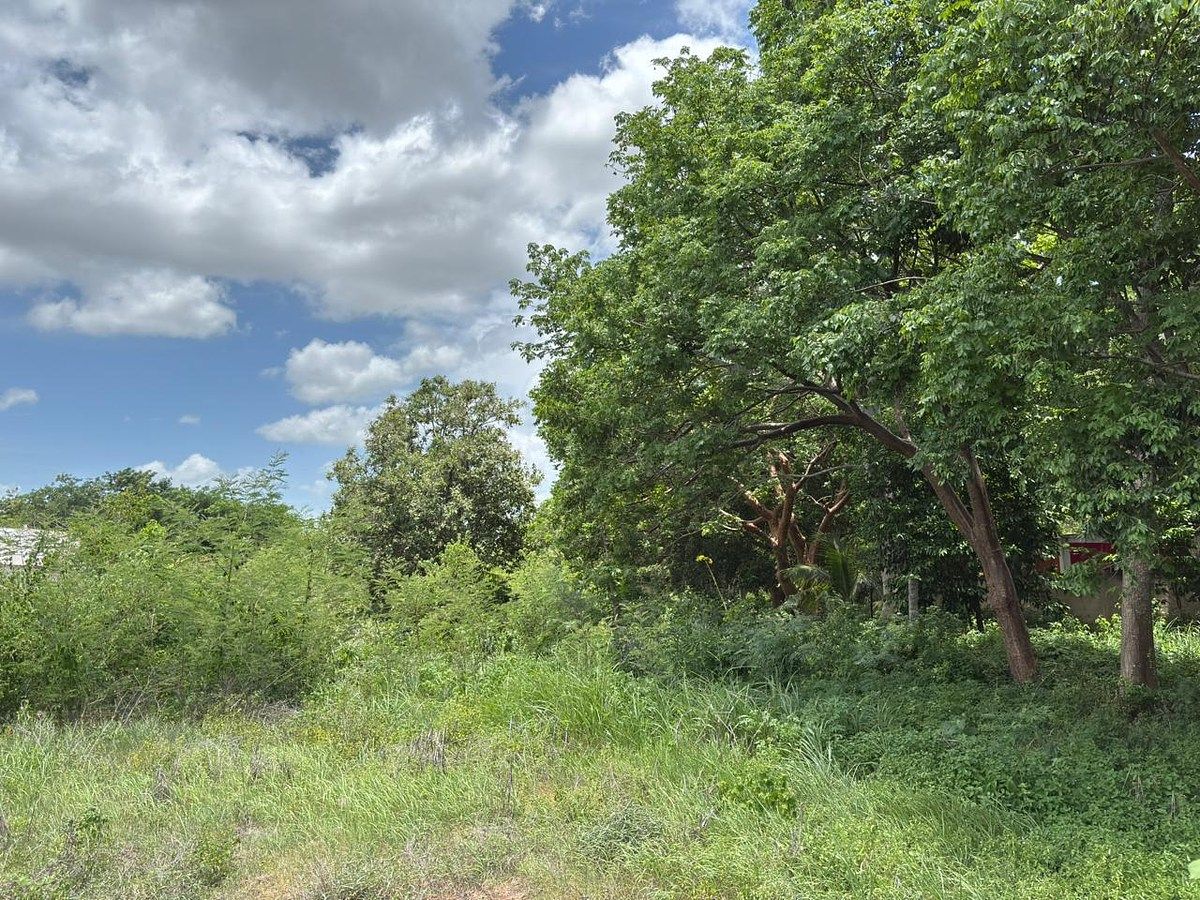 Lot in Xcanatún, Mérida, photo 12 of 14