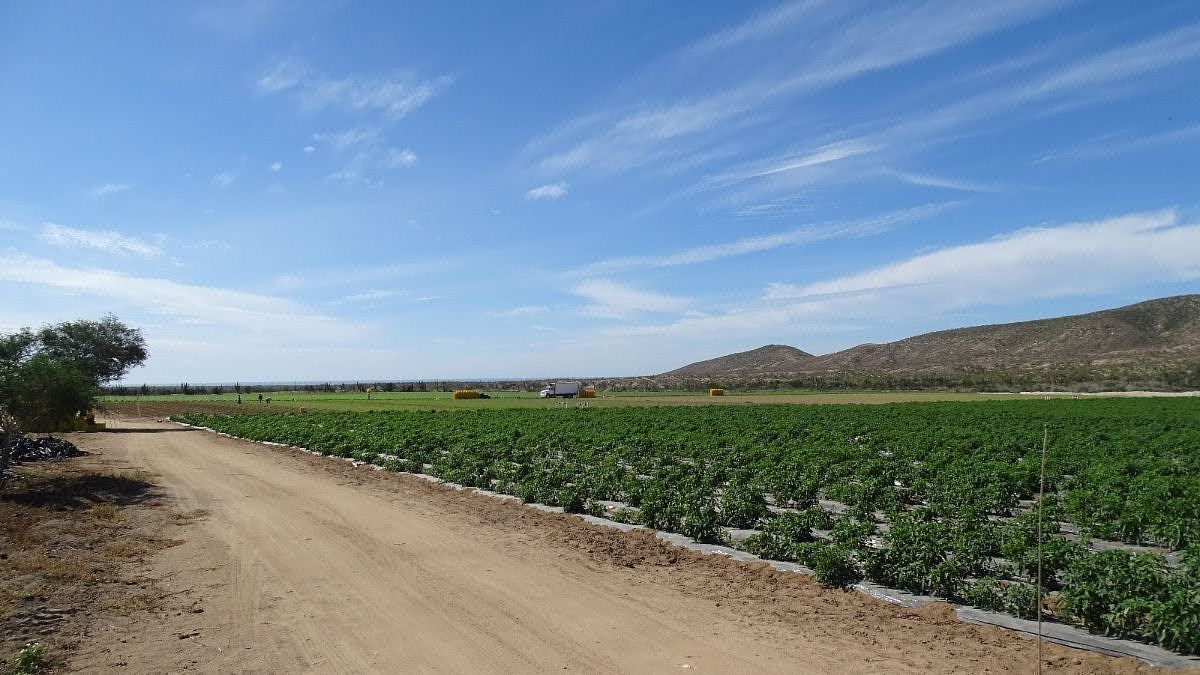 Terreno en Todos Santos, La Paz, foto 3 de 8