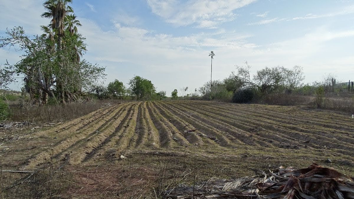 Terreno en Todos Santos, La Paz, foto 2 de 8