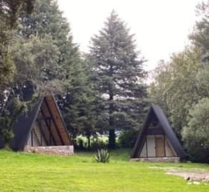 CABAÑAS EN VENTA EL ROBLE - foto 1