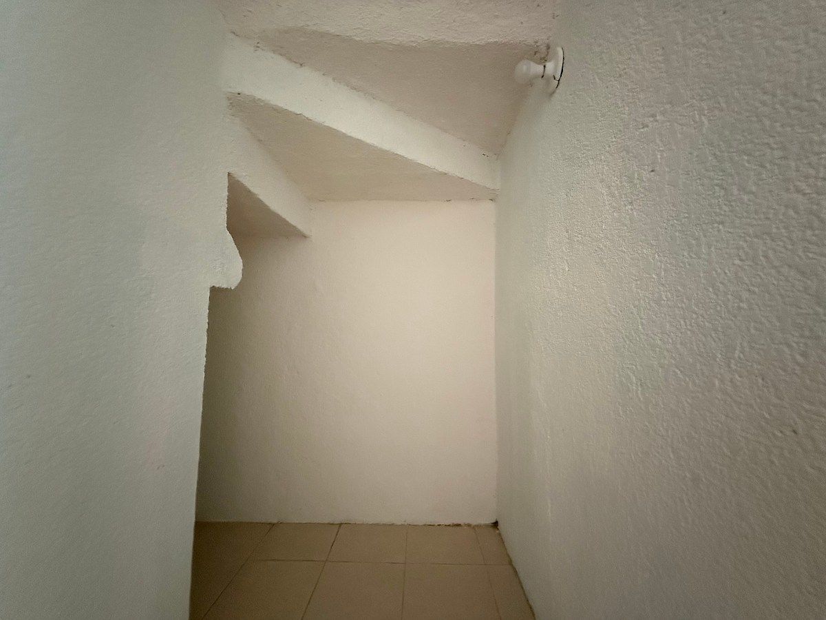 Bodega planta baja, foto 5 de 35