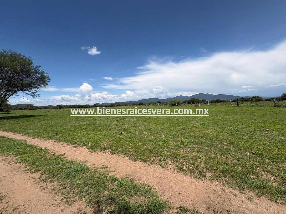 Terreno en El Sáuz, Tequisquiapan, foto 2 de 7