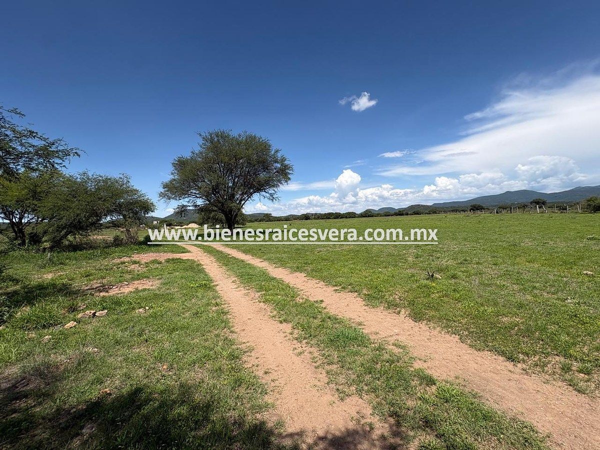 Terreno en El Sáuz, Tequisquiapan, foto 4 de 7