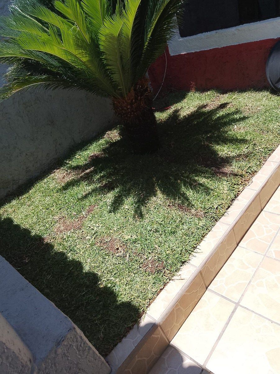 Casa en Tabachines, Zapopan, foto 11 de 20