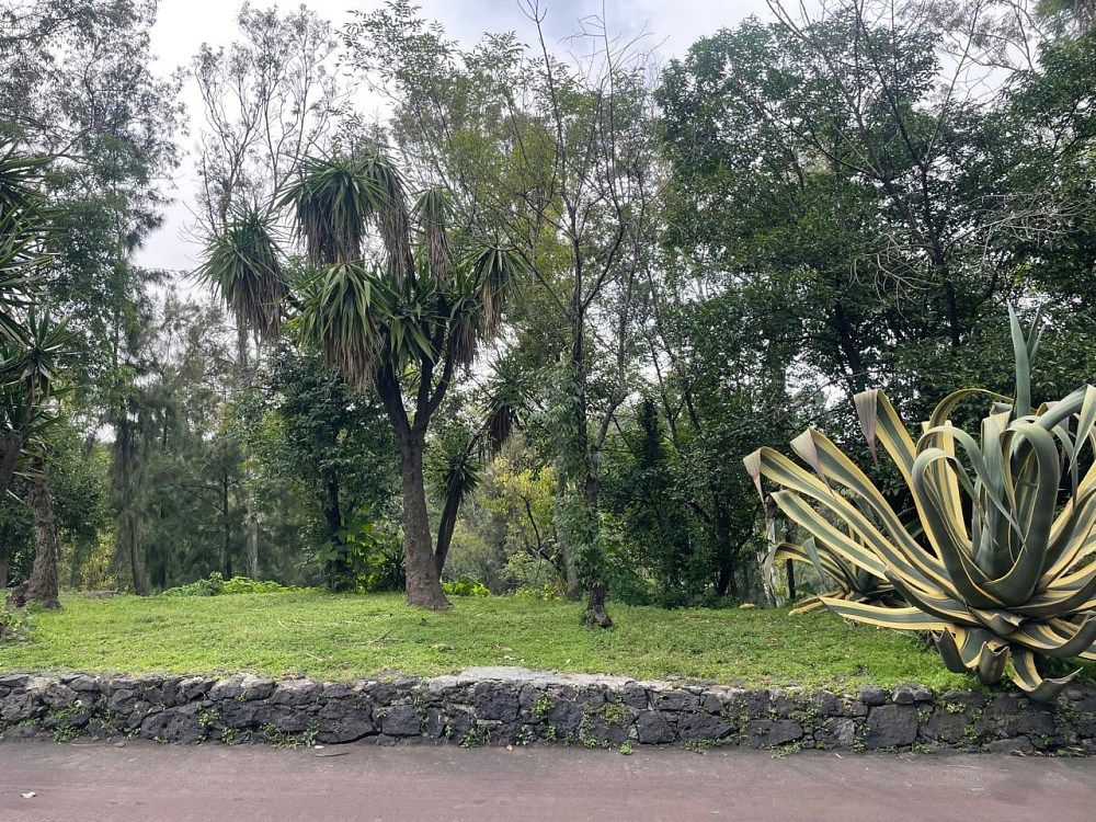 Lot in Lomas de Chapultepec I Sección, Miguel Hidalgo, photo 2 of 7