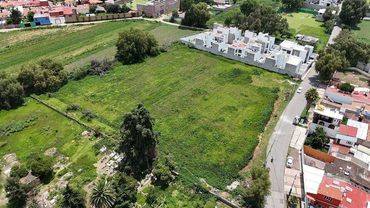 Terreno en San Andrés Chiautla Centro, Chiautla, foto 6 de 10
