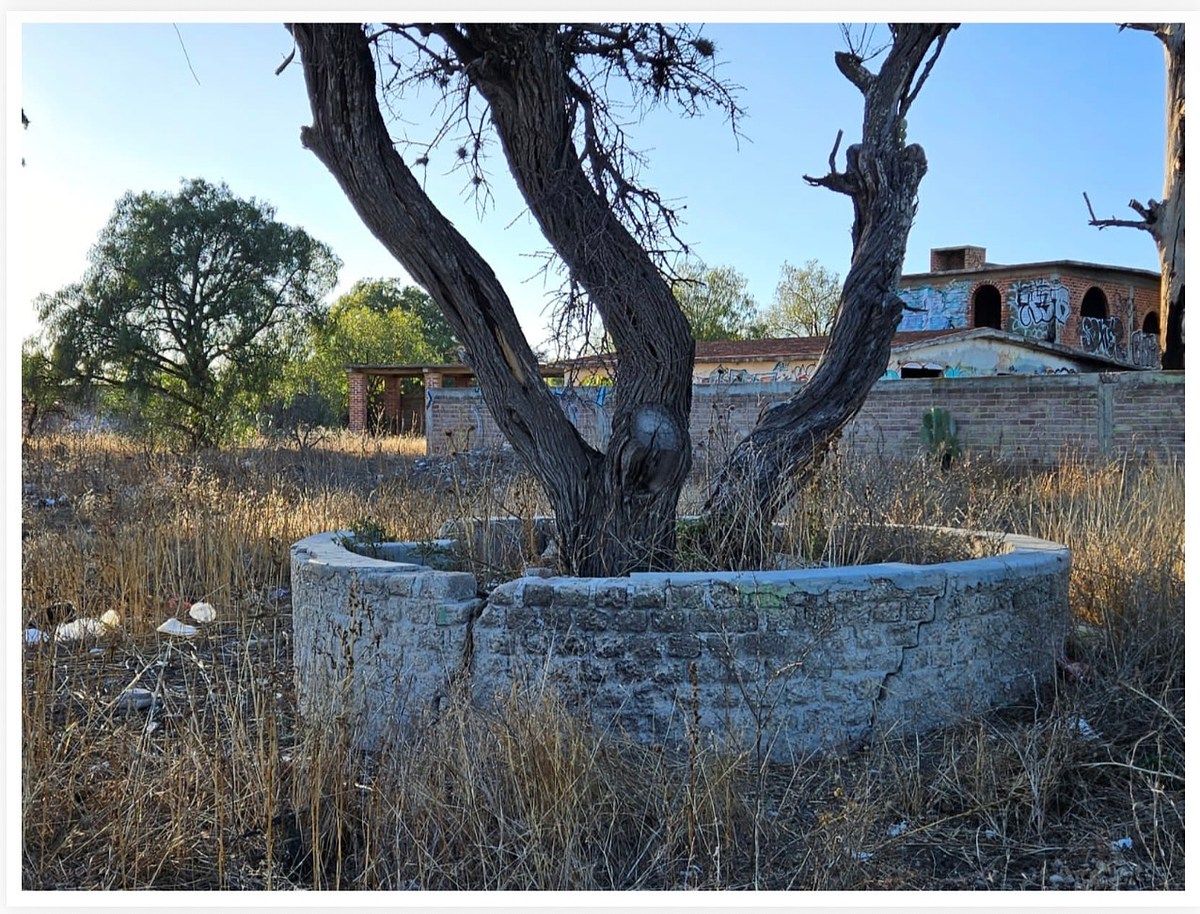 Lot in San Miguel, Zumpango, photo 7 of 11