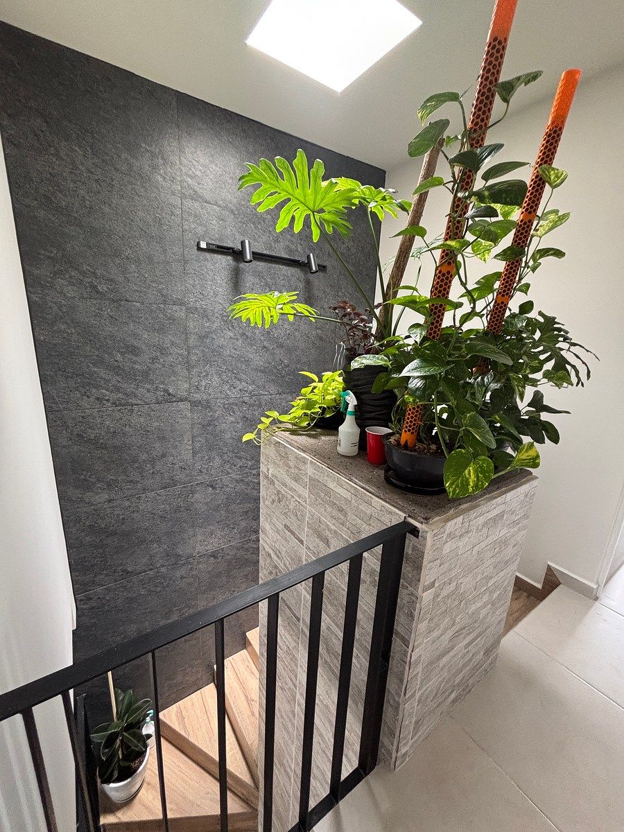 Casa en Zákia, El Marqués, foto 10 de 18