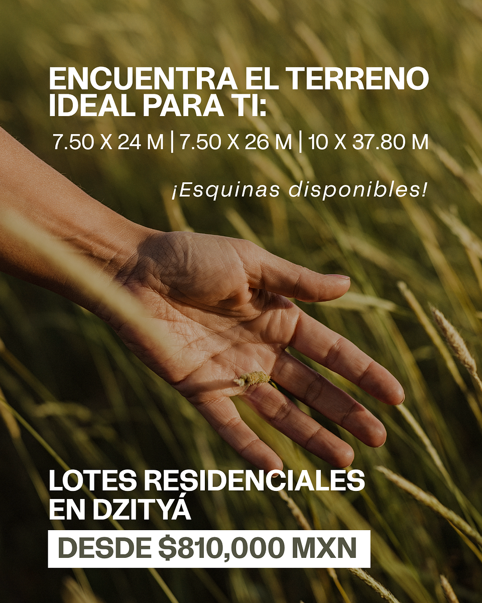 Land for sale in Bellavista Dzityá to the north of the city of Merida - foto 4