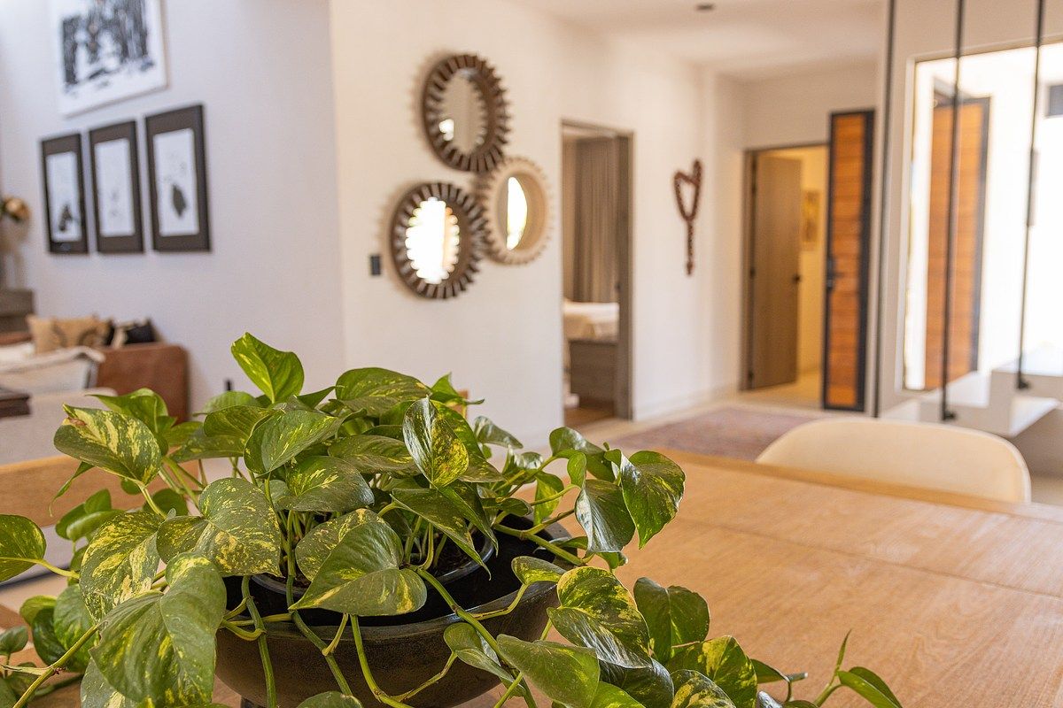 House in Gated Community in Jardines del Bosque, San Miguel de Allende, photo 15 of 19