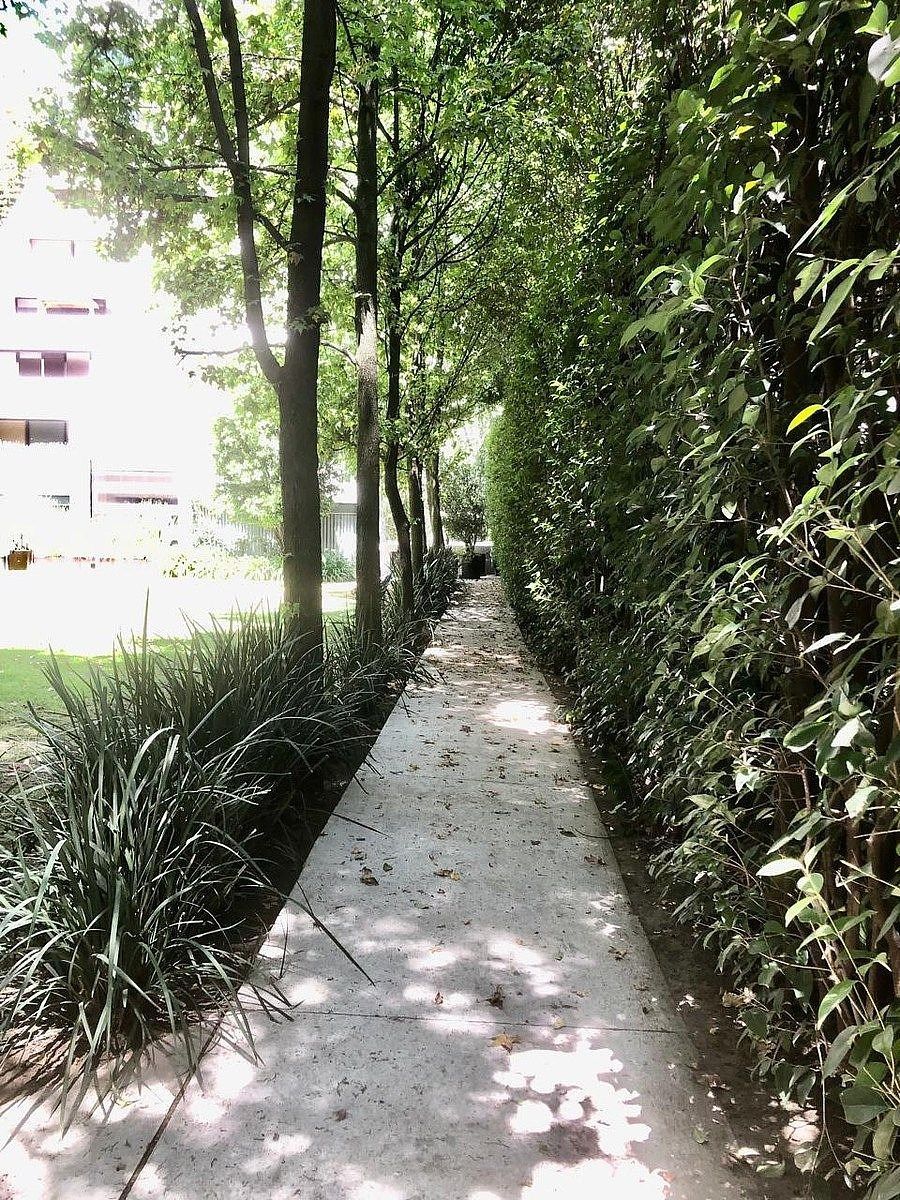 Departamento en Bosques de las Lomas, Cuajimalpa de Morelos, foto 35 de 46