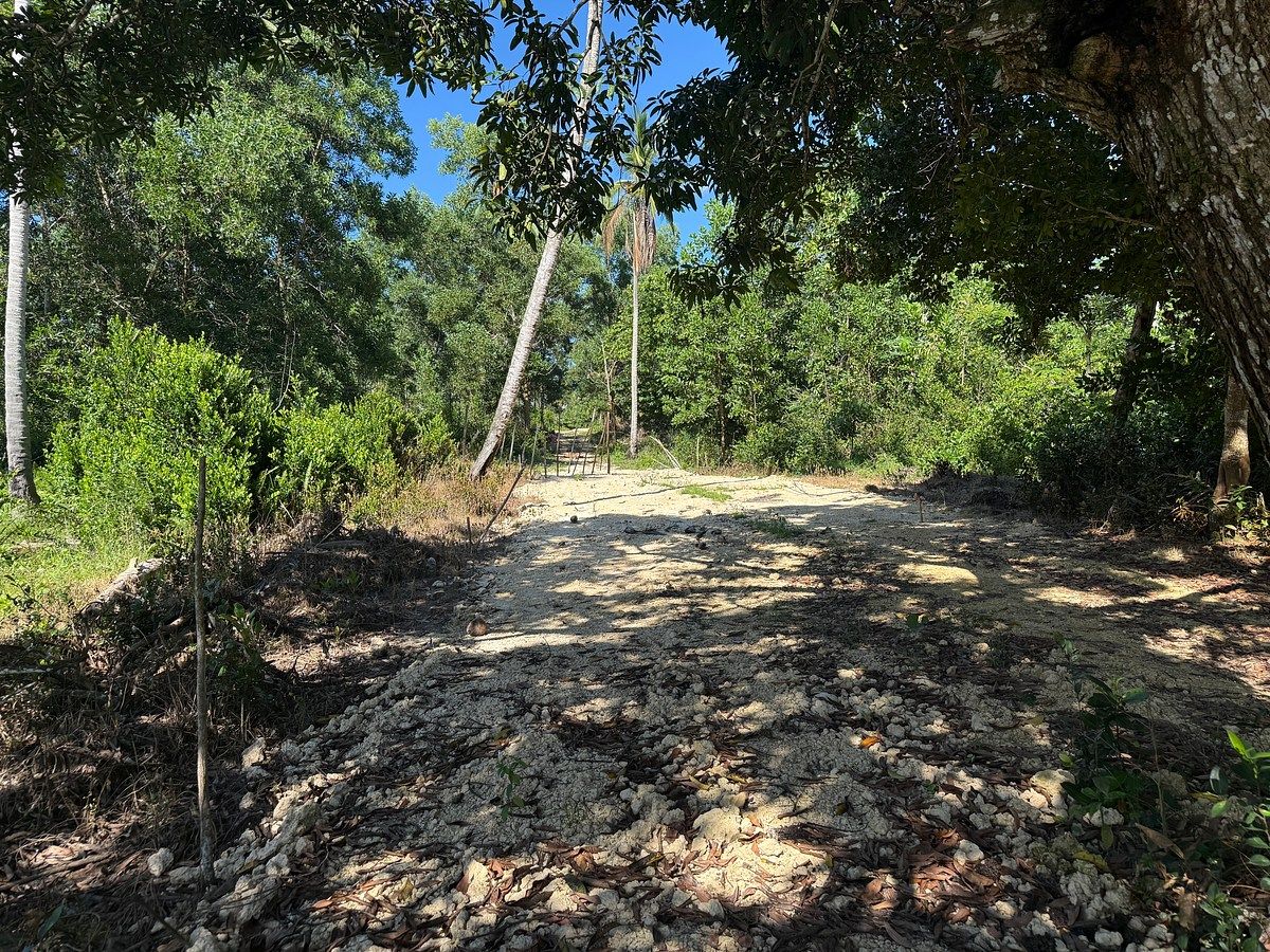 Terreno en Cabrera, foto 9 de 18