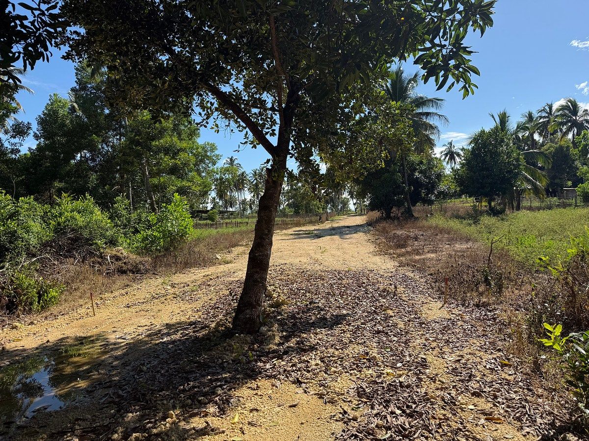 Terreno en Cabrera, foto 10 de 18