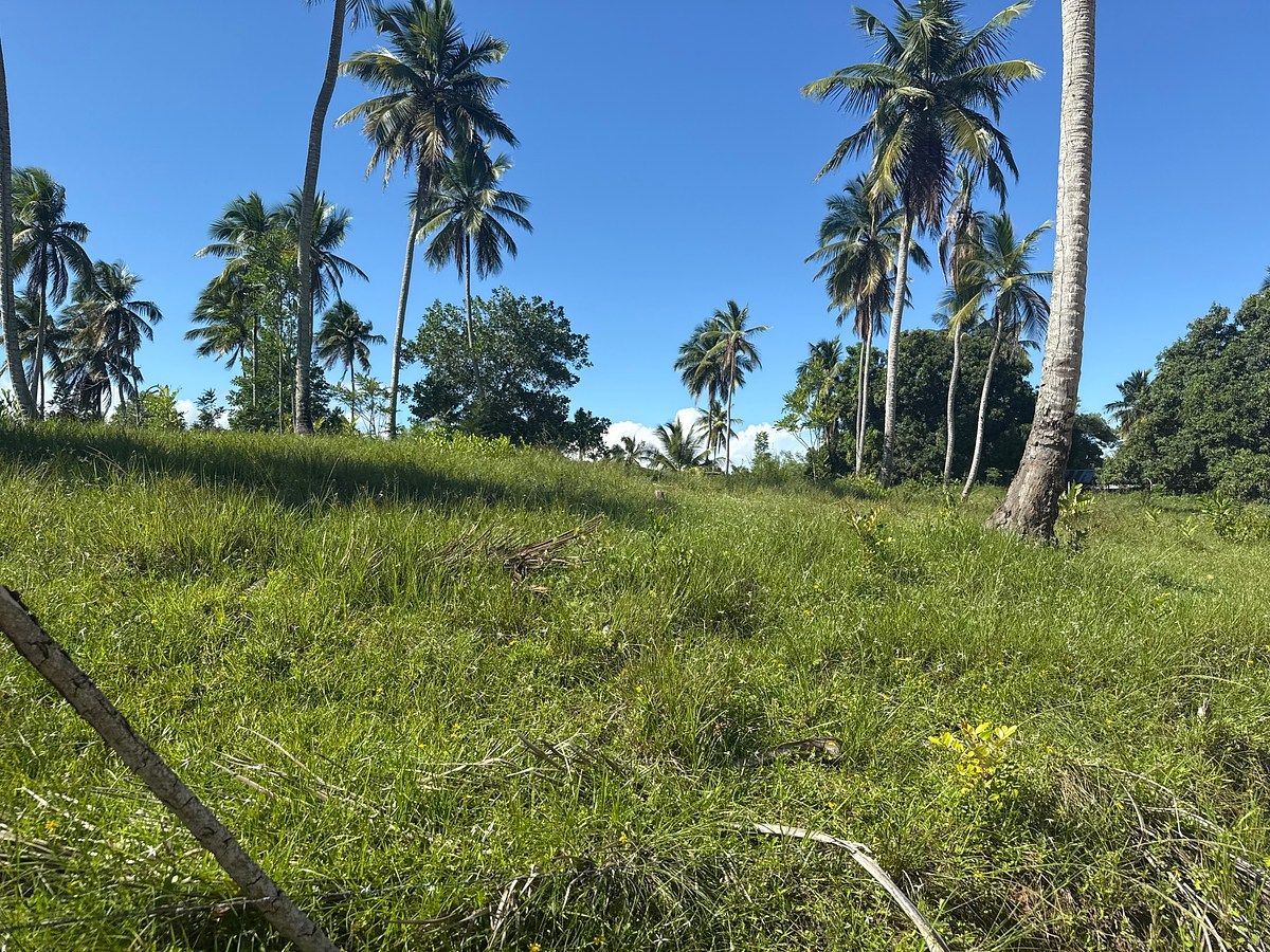 Terreno en Cabrera, foto 13 de 18