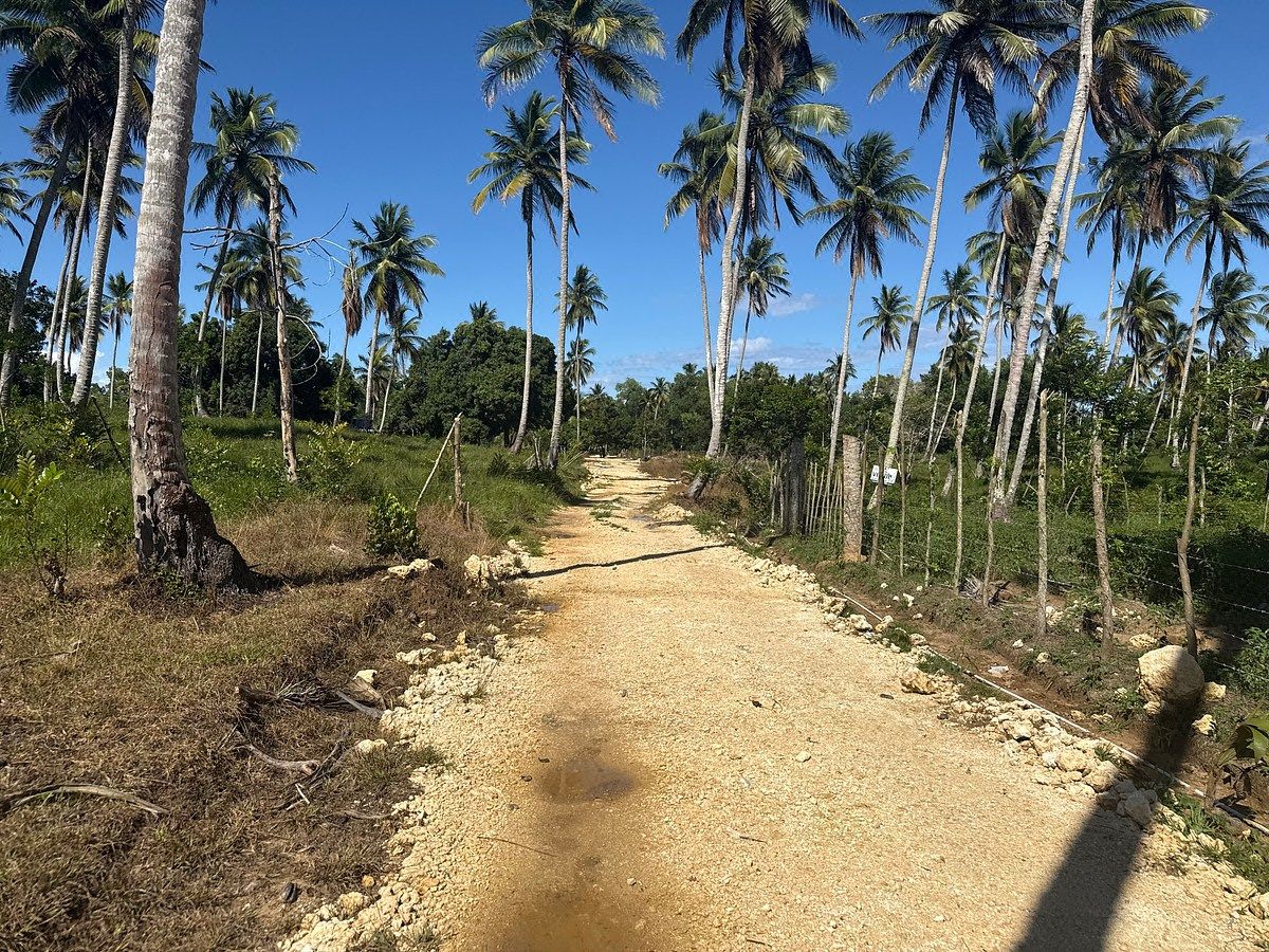 Terreno en Cabrera, foto 14 de 18