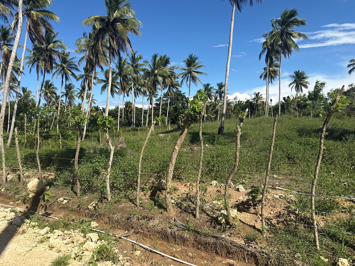 Terreno en Cabrera, foto 15 de 18