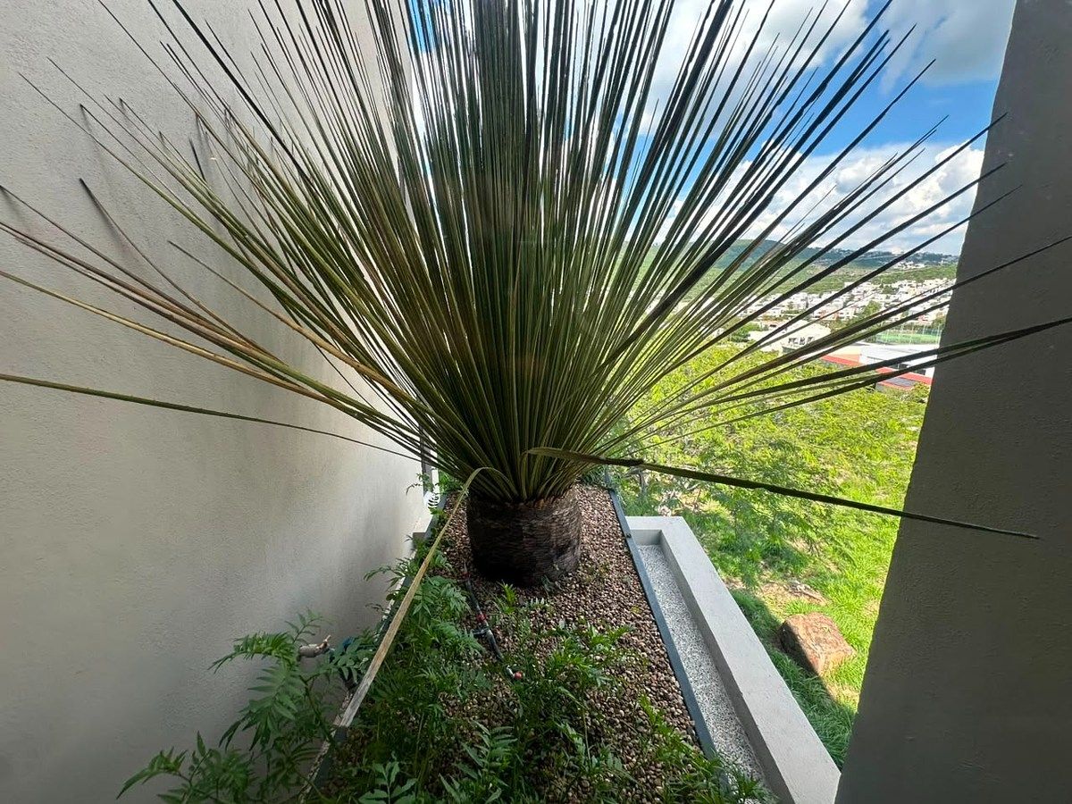 Casa em condomínio fechado em Altozano el Nuevo Querétaro, Querétaro, foto 41 de 50
