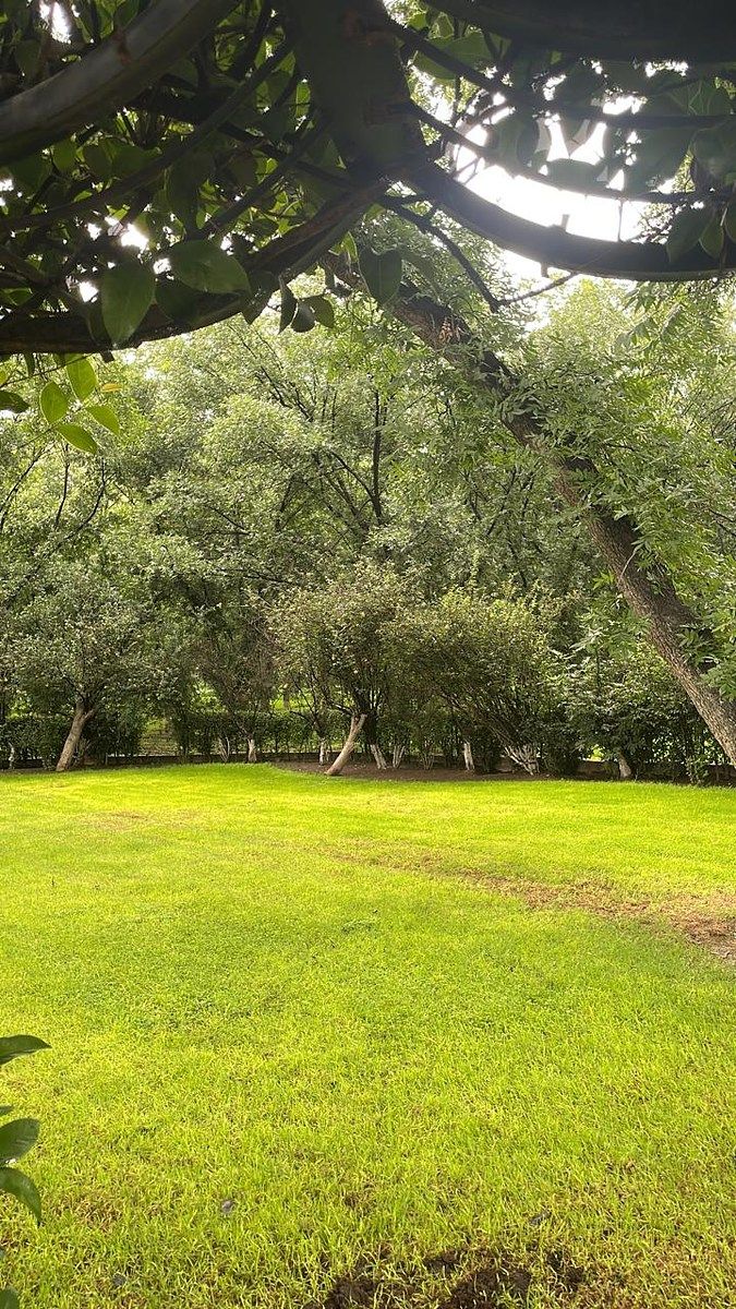 Rancho en El Barranco, San Francisco de los Romo, foto 4 de 6