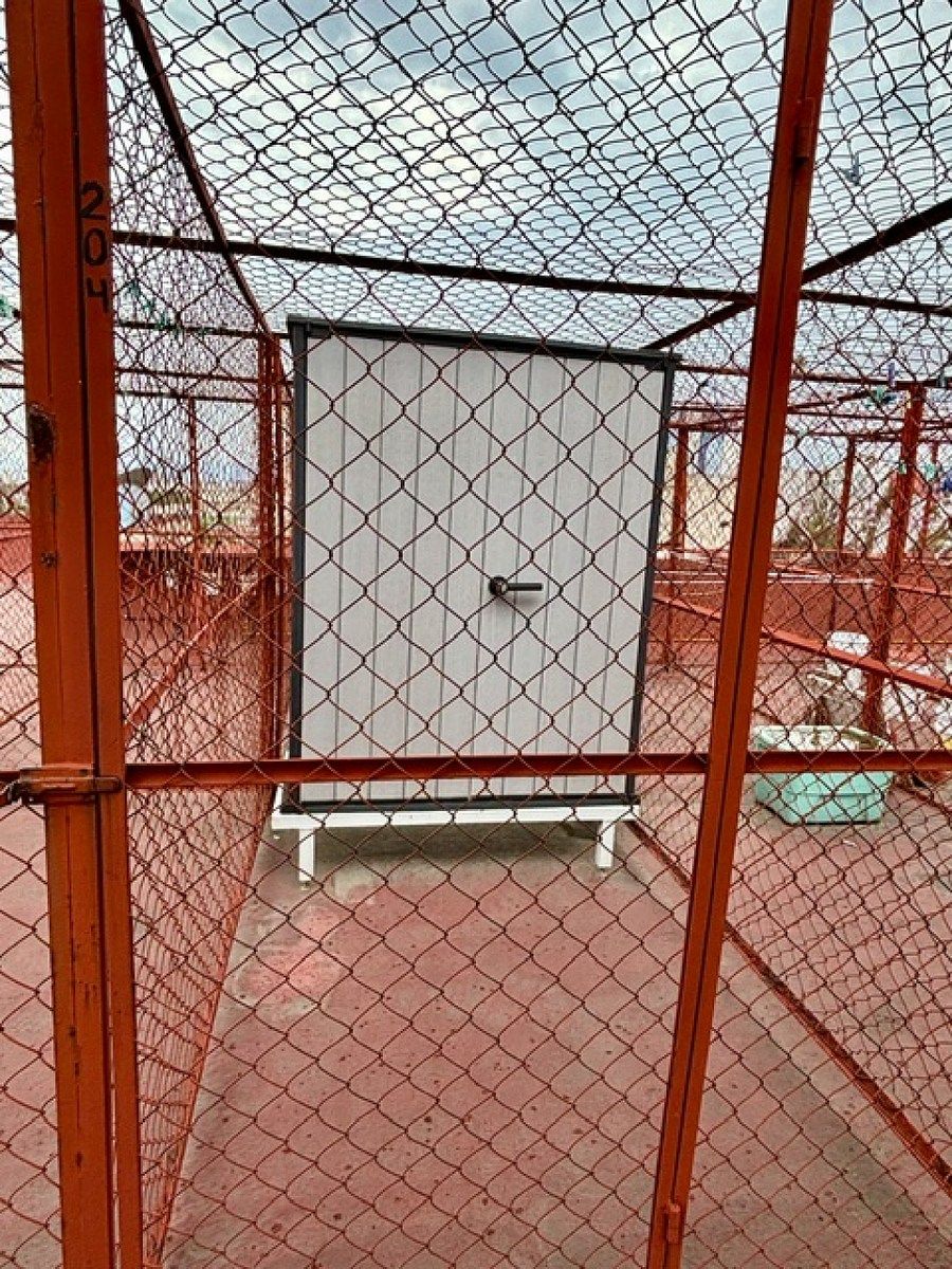 Departamento en Del Valle Norte, Benito Juárez, foto 11 de 17